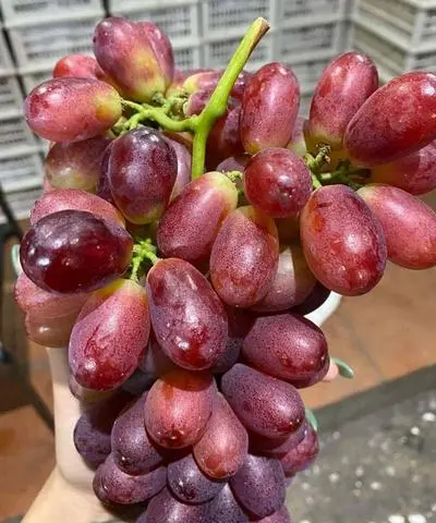 Hình ảnh  Nho Đỏ ko hạt 200gr