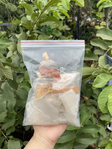 Hình ảnh Bánh tráng tỏi hành phi