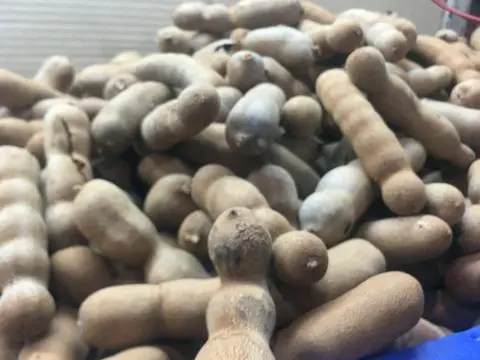 Hình ảnh me chín