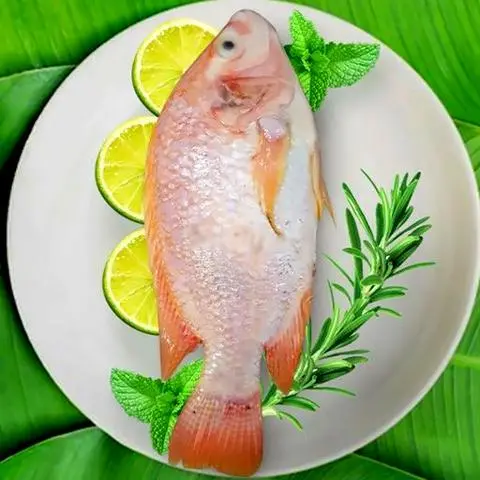 Hình ảnh Cá diêu hồng thêm