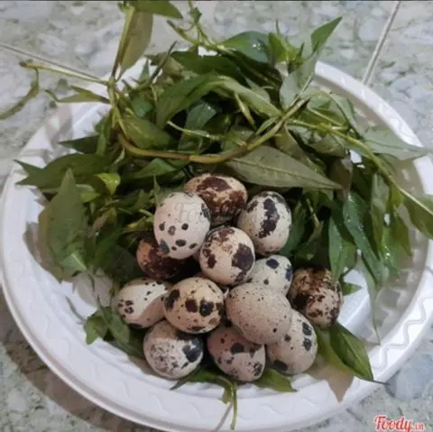 Hình ảnh 5 trứng cút - rau răm
