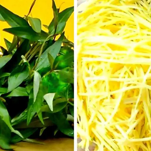 Hình ảnh Rau - Xoài