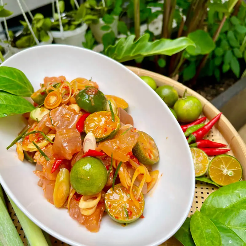 Hình ảnh Gân bò sốt thái