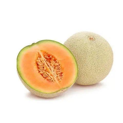 Hình ảnh Dưa lưới
