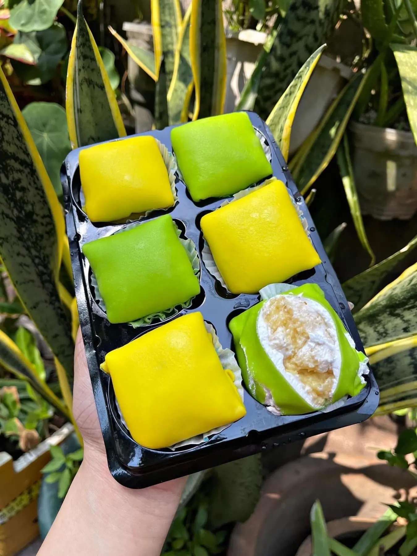 Hình ảnh crepe mini 6c