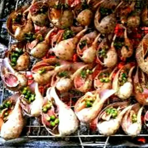 Hình ảnh Ốc muỗng nướng tiêu xanh