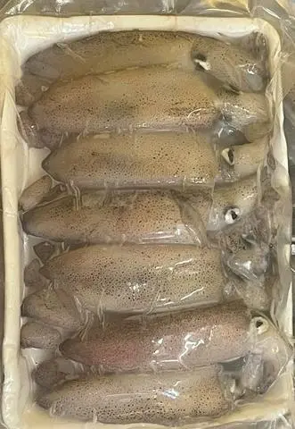 Hình ảnh Mực Ống (500gr)