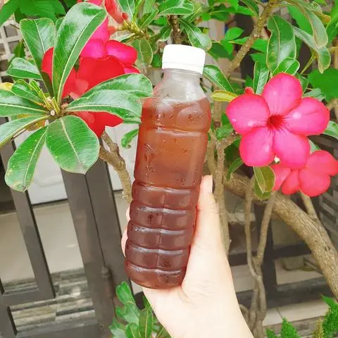 Hình ảnh Nước Sâm Nhà Nấu