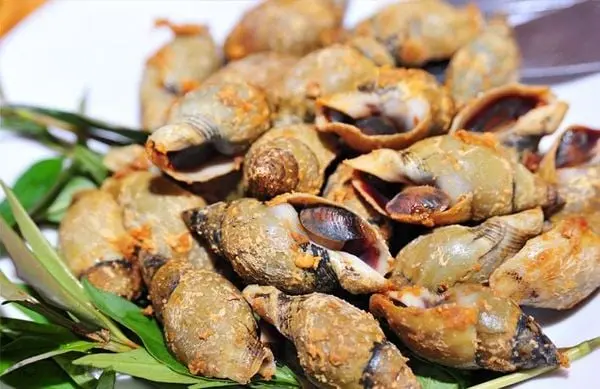 Hình ảnh Ốc Cà Na Rang Muối 