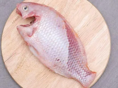 Hình ảnh CÁ DIÊU HỒNG 