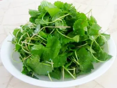 Hình ảnh Rau má thêm