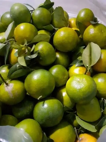 Hình ảnh Quýt Đường 500gr 