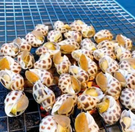 Hình ảnh Ốc hương nướng mọi