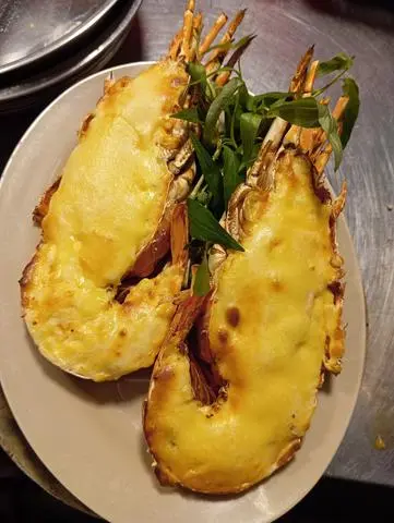 Hình ảnh tôm hùm nhỏ 