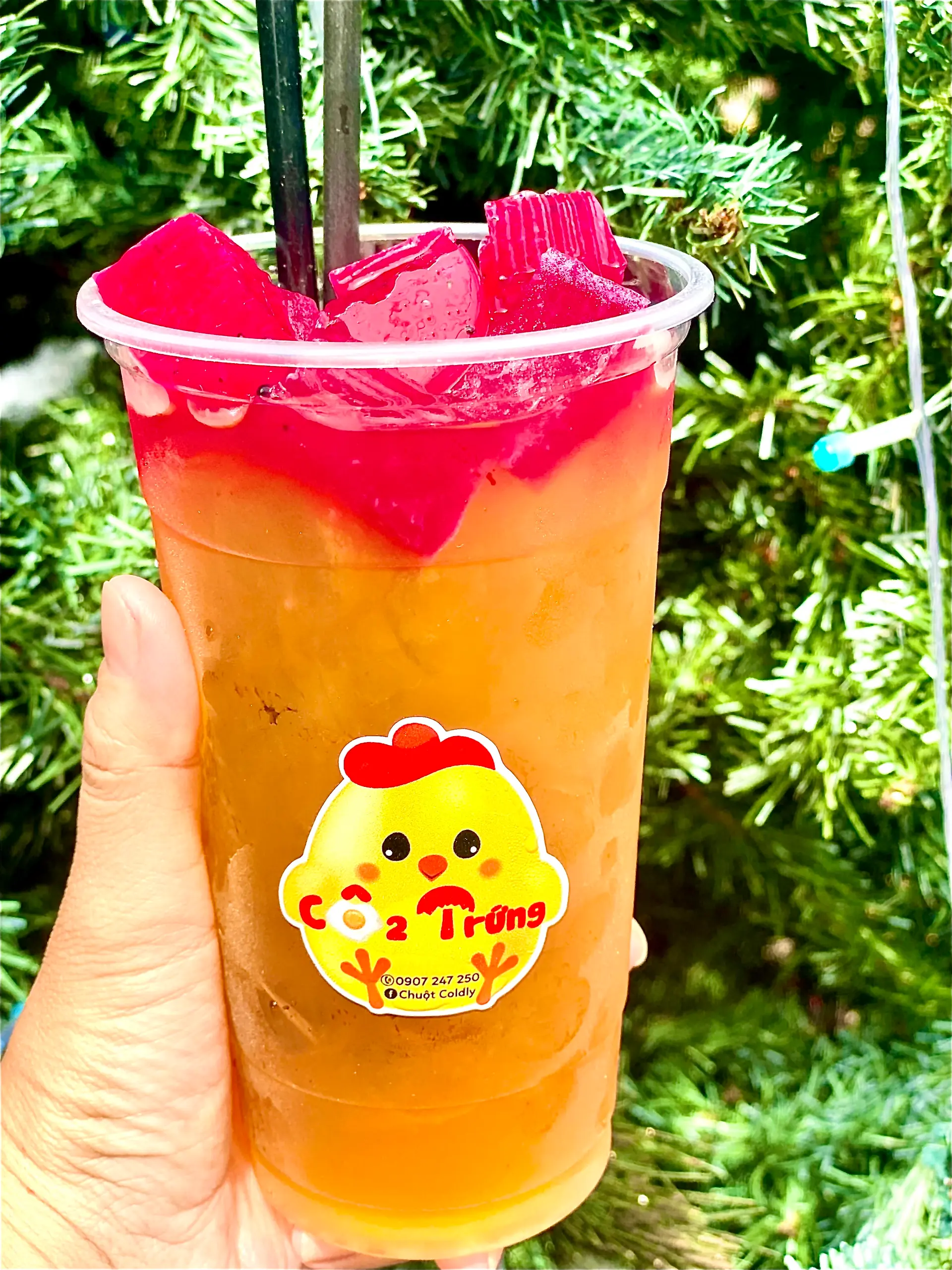 Hình ảnh Trà tắc thạch thanh long