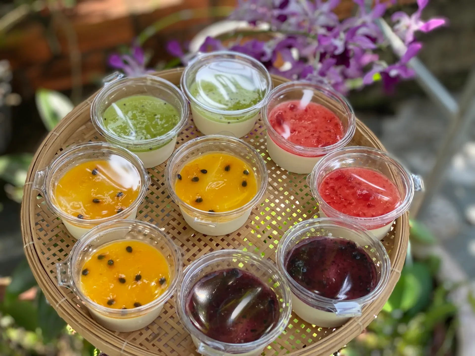 Hình ảnh 10 Panna cotta hũ 100ml