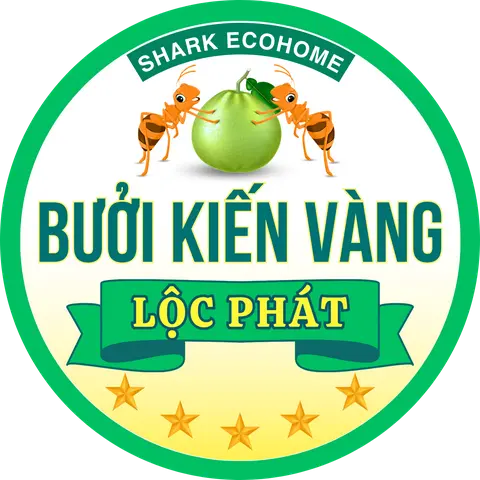 Hình ảnh Tri Ân !! 01 Phần Bưởi Da Xanh !! Bến Tre !! Nhà Vườn