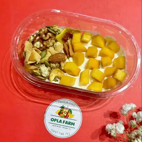 Hình ảnh (G3) Xoài - sữa chua Hy Lạp - granola