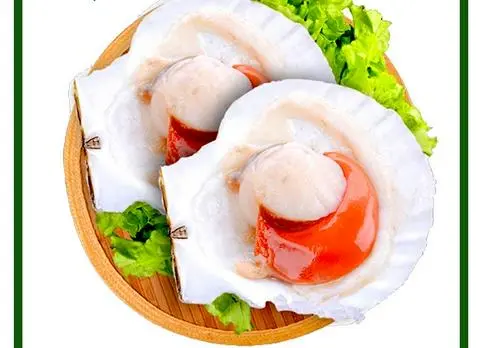 Hình ảnh 6 CON SÒ ĐIỆP