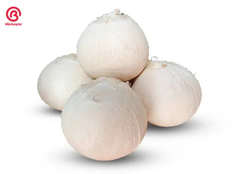 Hình ảnh Dừa Trái 