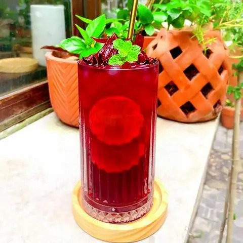 Hình ảnh Atiso đỏ