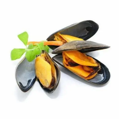 Hình ảnh Vẹm đen chile - 50gr