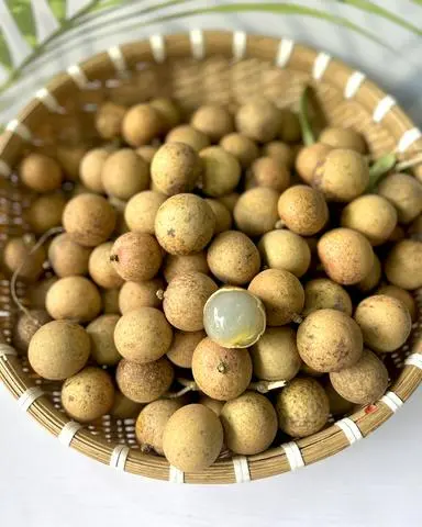 Hình ảnh Nhãn xuồng hộp 500G