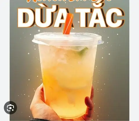Hình ảnh Dừa tắc ly khổng lồ 