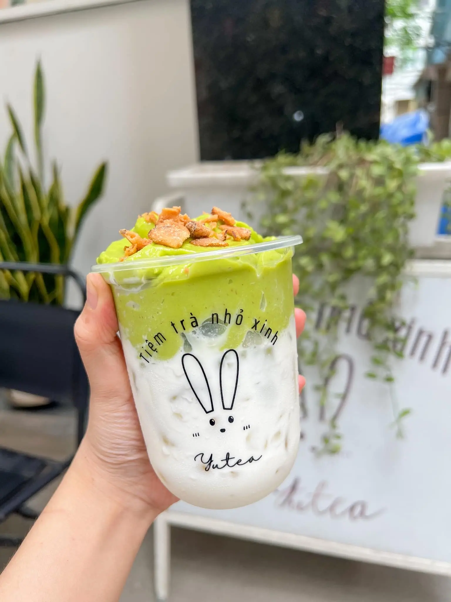 Hình ảnh Sinh tố bơ già dừa non