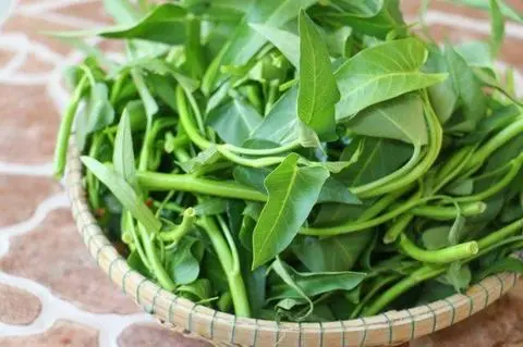 Hình ảnh Rau muống thêm 