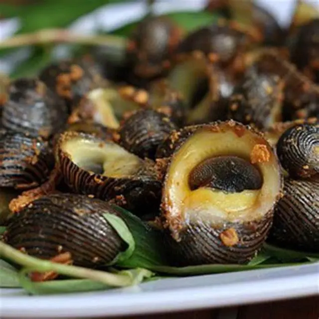 Hình ảnh ỐC NGỰA RANG MUỐI 
