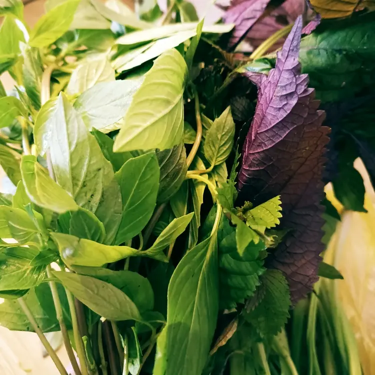 Hình ảnh Rau Thêm