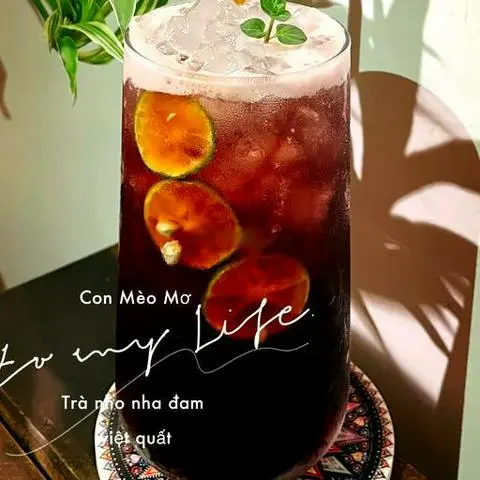 Hình ảnh Trà nho nha đam việt quất
