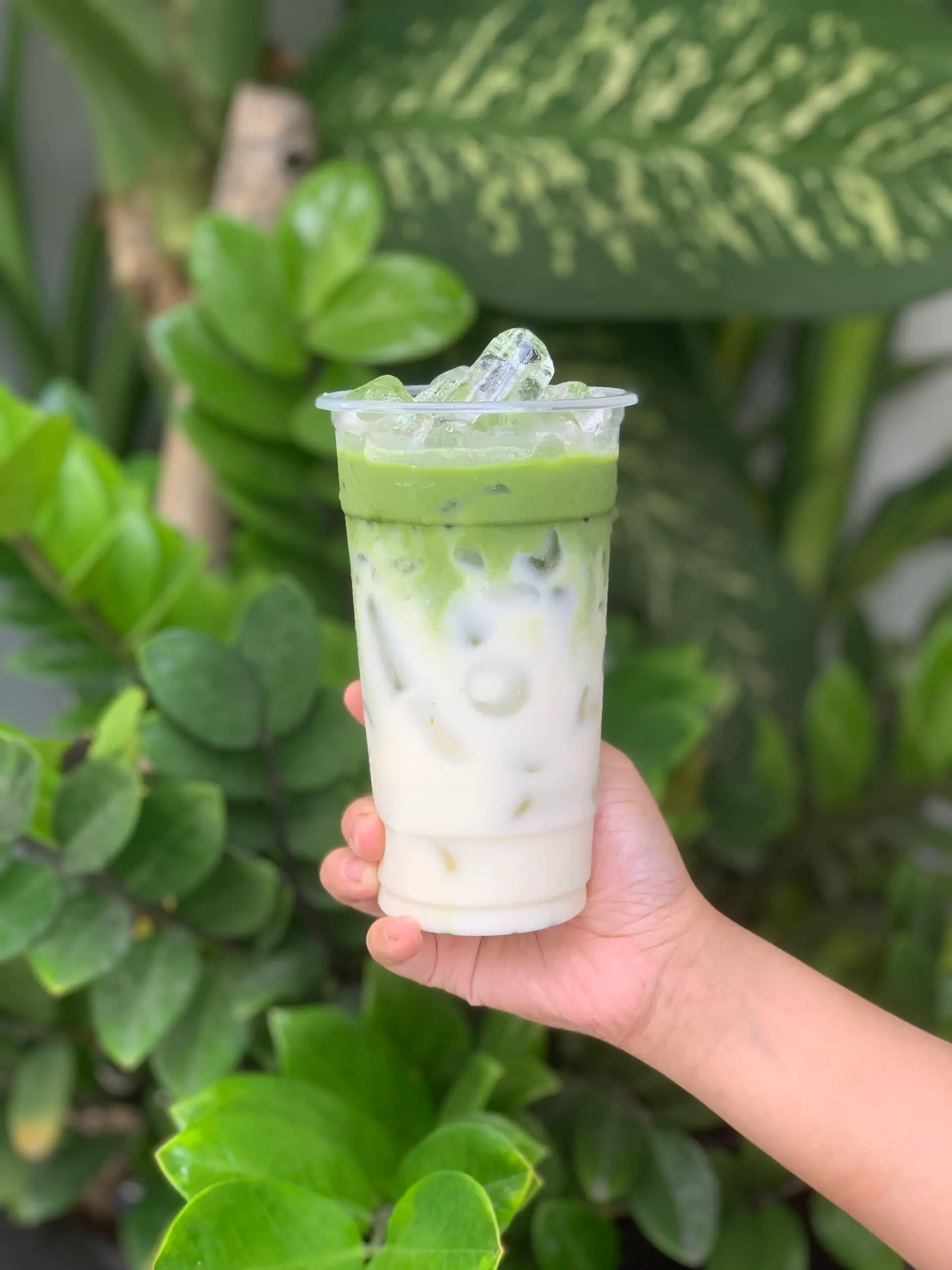 Hình ảnh Matcha Latte