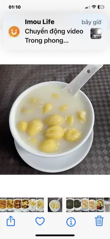 Hình ảnh 19 Bạch quả 