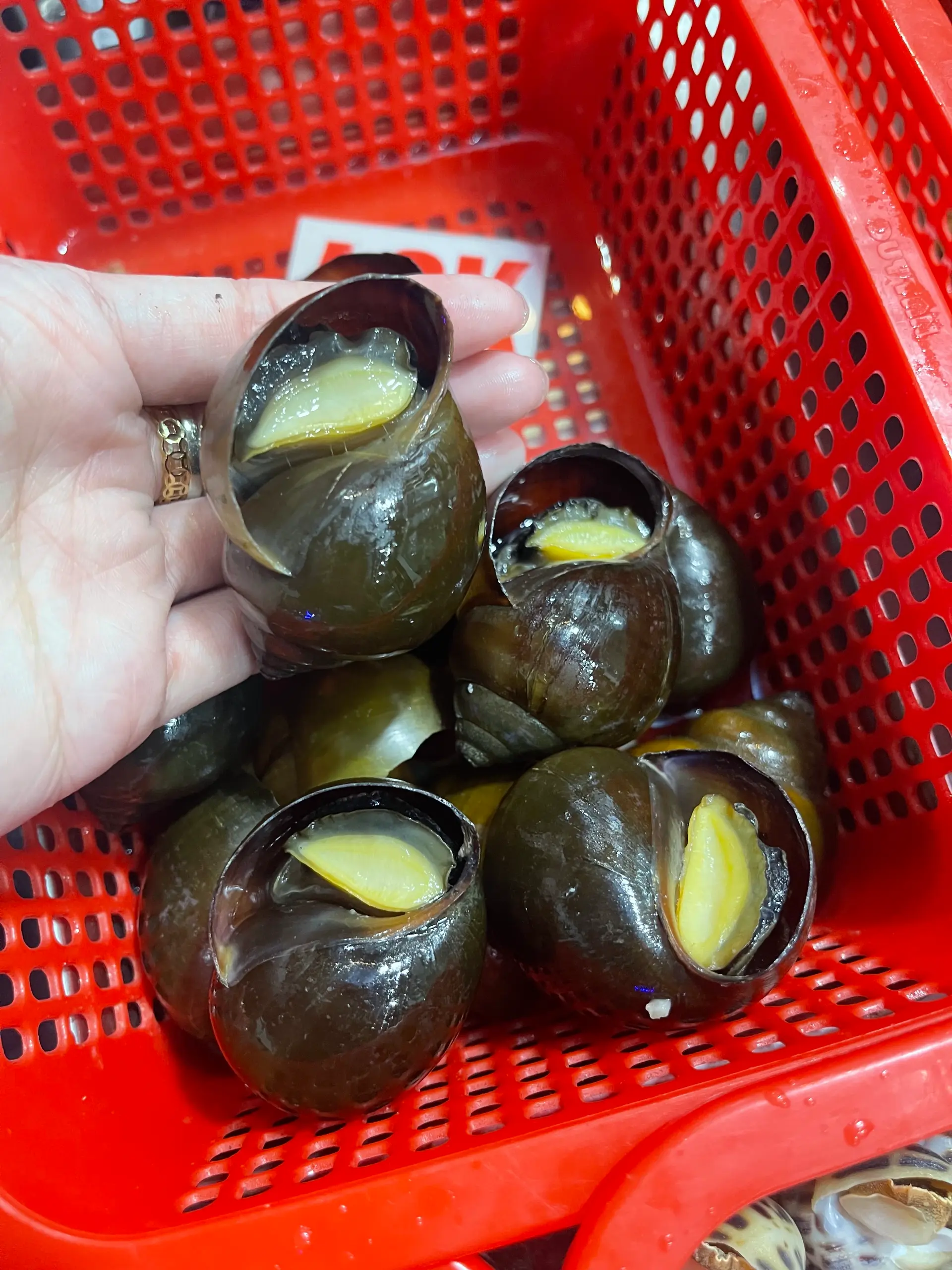 Hình ảnh Ốc Bưu