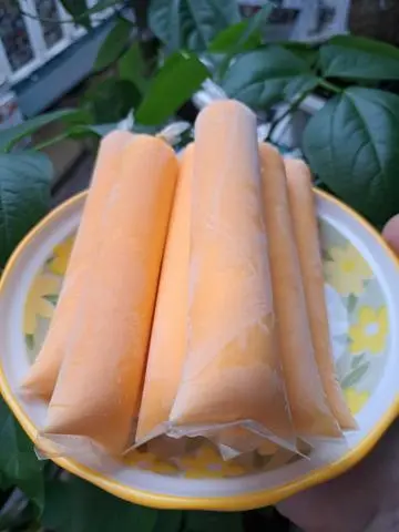 Hình ảnh Combo 10 túi sữa chua phomai cam