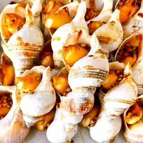 Hình ảnh Ốc Bulot Nướng Mọi