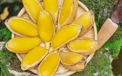 Hình ảnh Chuối Sáp Mật luộc- 1kg