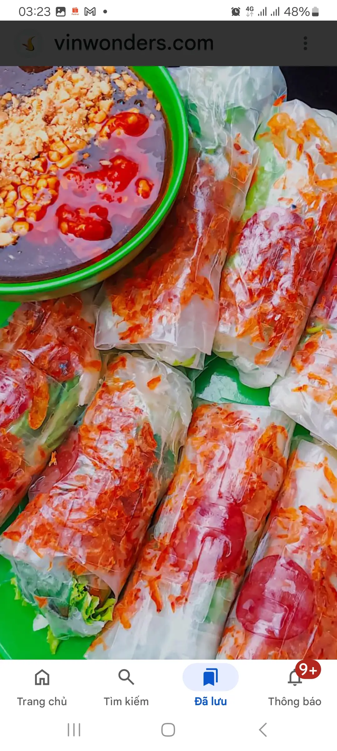Hình ảnh 5 cuốn BÒ BÍA  