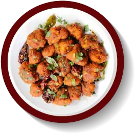 Hình ảnh Gobi 65
