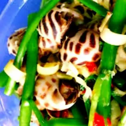 Hình ảnh Ốc hương xào rau muống