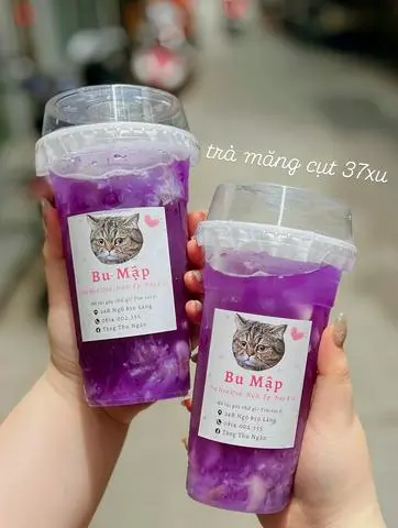 Hình ảnh Trà Măng Cụt