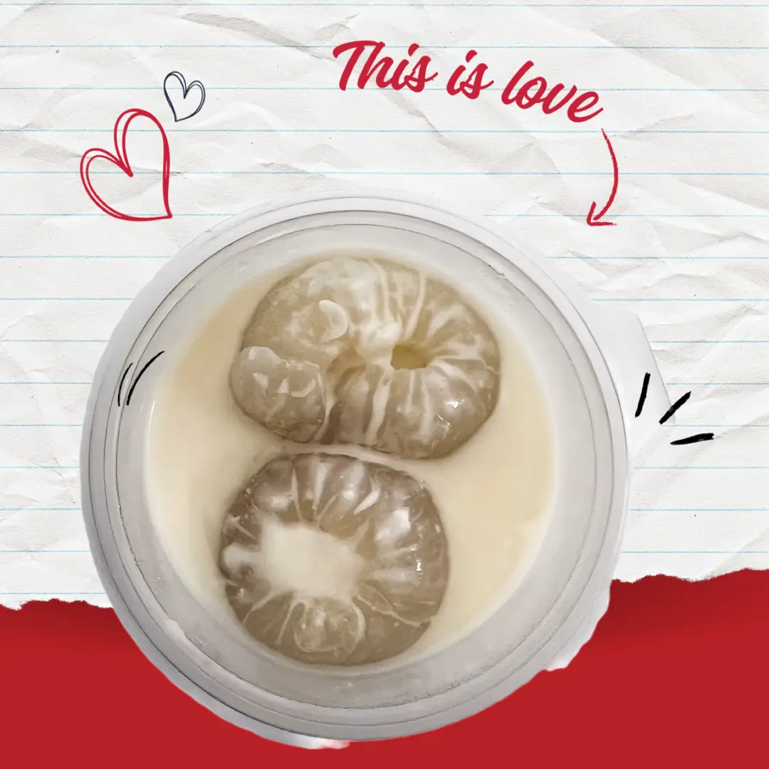 Hình ảnh Khúc Bạch Vải