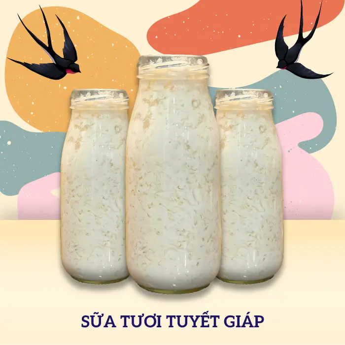 Hình ảnh Yến chưng sữa tươi tuyết giáp long nhãn