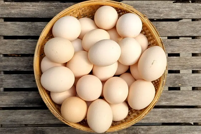 Hình ảnh Trứng gà vữa