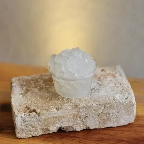 Hình ảnh Trân Châu Trắng