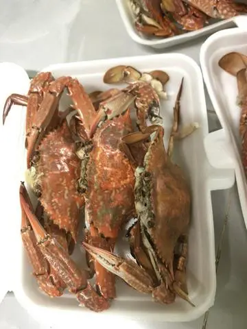 Hình ảnh  sống một con