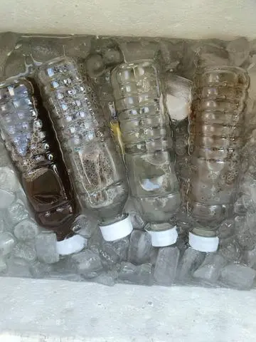 Hình ảnh chai sâm lạnh 