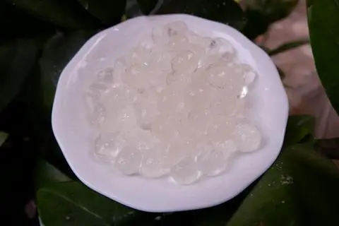 Hình ảnh Trân châu trắng